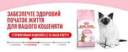 Royal Canin Kitten Sterilised сухий корм для кошенят після кастрації/стерилізації 2 кг, фото 3