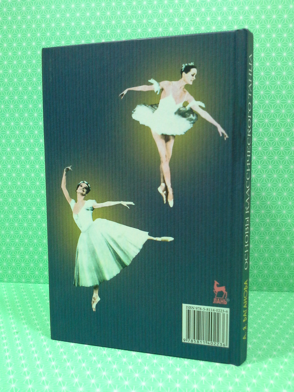 Основы Классического Танца. А.Я.Ваганова (ID#1322145418), Цена.