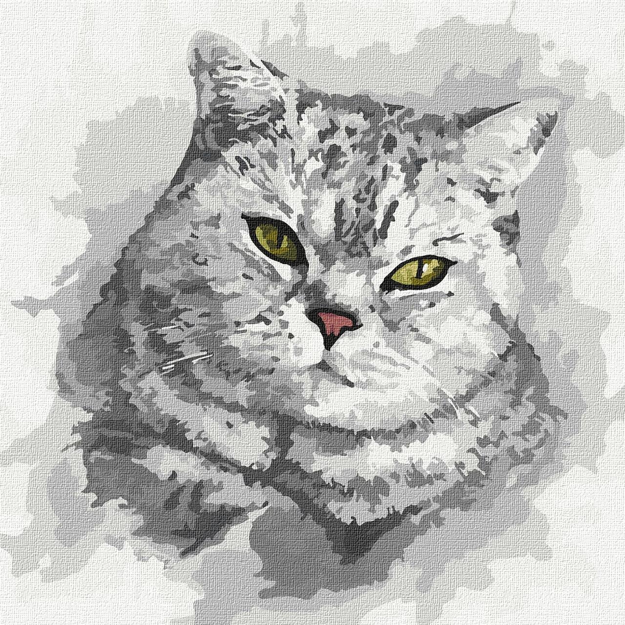 Картина по номерам. Котик "Зеленоокий погляд" KHO 4200 30*30см