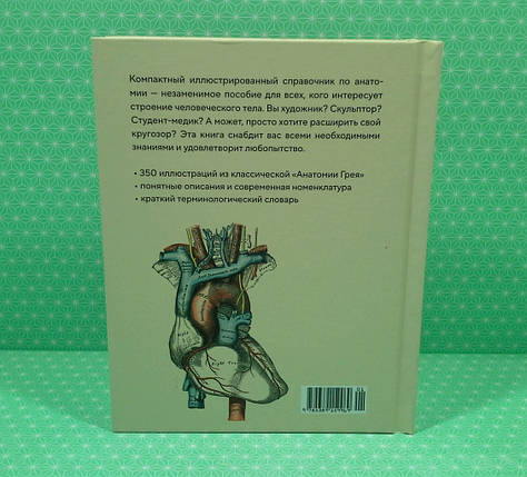 Анатомія. З ілюстраціями з класичної «Анатомія Грея». Крістофер Джозеф. Колібрі, фото 2