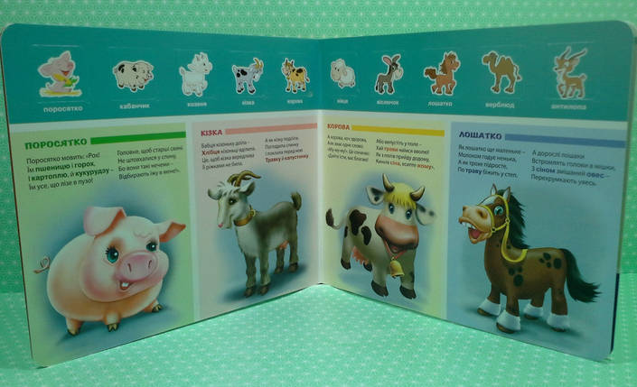 Картон КХ Книжка з віконцями Наша смакота 50 віконець, фото 3