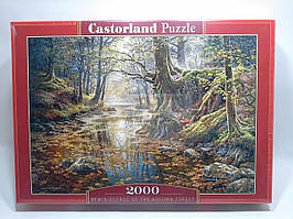 Пазли осінній ліс 2000 елементів Castorland 200757