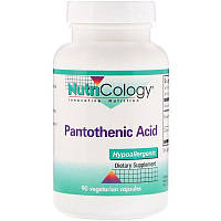 Пантотеновая кислота (Pantothenic Acid), Nutricology, 90 капсул (ARG-50380)
