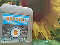 ЕСКОРТ ЛАЙФ БИОХЕМ. РЕГУЛЯТОР РОСТУ "ЕСКОРТ". ПРОМОУТЕР (ЕСКОРТ). [ЕСКОРТ/ЕСКОРТ]. ТАРА 50МЛ., фото 5