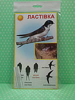 СвітПоздоровлень Комплект карток Перелітні птахи (ластівка лелека) 90