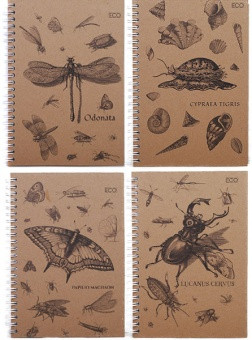 Блокнот для нотаток «Insects», бік. пружина, А5, 50 л., Еко папір, клітина, тверд. обл. БН-030-МВ KNZ