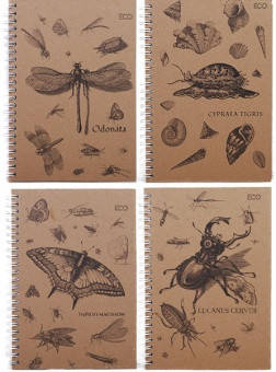 Блокнот для нотаток «Insects», бік. пружина, А5, 50 л., Еко папір, клітина, тверд. обл. БН-030-МВ KNZ, фото 1