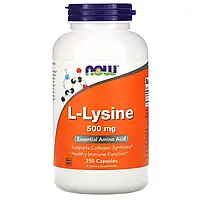 Лизин, L-Lysine, Now Foods, 500 мг, 250 капсул (NOW-00112)