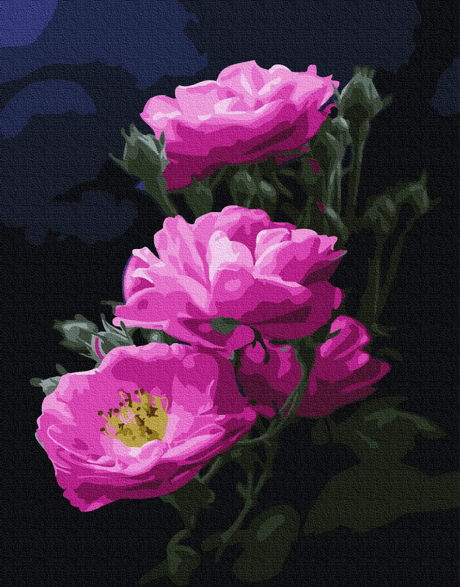 Рукітвор Картина за номерами (BK-GX24788) Рожевий шипшина, 40 х 50 см,