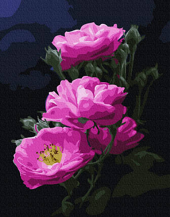 Рукітвор Картина за номерами (BK-GX24788) Рожевий шипшина, 40 х 50 см,, фото 1