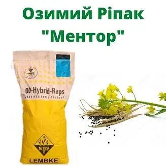Насіння озимового ріпаку Ментор NPZ-Lembke (Лембке), середньоранний озимовий ріп, фото 1