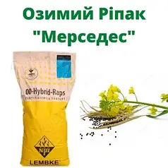 Семена озимого рапса Мерседес NPZ-Lembke (Лембке), среднеранний озимый рапс
