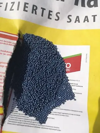 Класичне насіння ріпаку Рохан NPZ-Lemke (Лембке), середньоранній класичний озимовий ріпс, фото 3