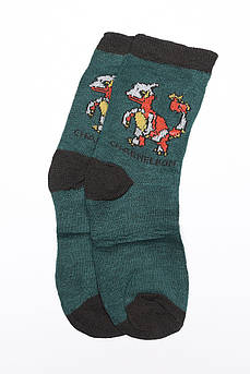 Шкарпетки дитячі зелені 5-6 років 147586M