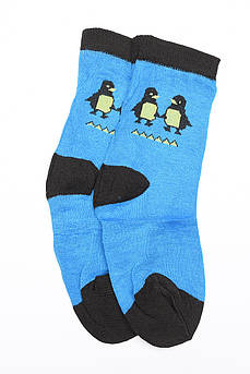 Шкарпетки дитячі сині 5-6 років 147587M