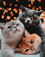 Набор Алмазная мозаика вышивка 40х50 "Три пушистых кота" (квадрат. стразы, пол. выкладка, на подрамнике)