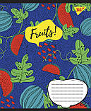 Набір зошитів учнівських А5/36 лін. YES Fruits (15 штук мікс), фото 6