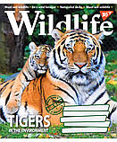 Набір зошитів учнівських А5/96 кл. YES Wild life (5 штук мікс), фото 5