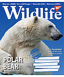 Набір зошитів учнівських А5/96 кл. YES Wild life (5 штук мікс), фото 3