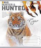 Набір зошитів учнівських А5/48 лін. 1В Hunted (10 штук мікс), фото 4