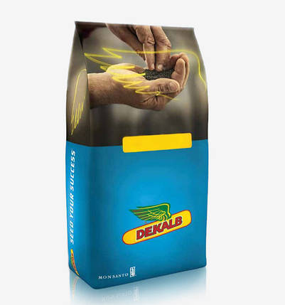 Насіння ріпаку ДК Сіквел DEKALB, класичне насіння озиму ріпаку, фото 1