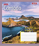 Набір зошитів учнівських А5/48 кл. 1В National parks (10 штук мікс), фото 5