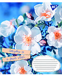 Набір зошитів учнівських А5/48 лін. 1В Summer flowers (10 штук мікс), фото 3