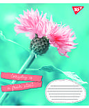 Набір зошитів учнівських А5/48 лін. 1В Summer flowers (10 штук мікс), фото 6