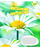 Набір зошитів учнівських А5/48 лін. 1В Summer flowers (10 штук мікс), фото 5