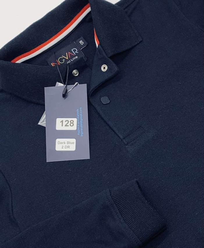 Поло для хлопчика з довгим рукавом Ingvar, синій колір