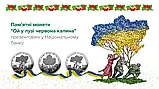 Монета Ой у лузі червона калина у сувенірній упаковці 5 гривень 2022  Новинка Серія: Безсмертна моя Україно, фото 3
