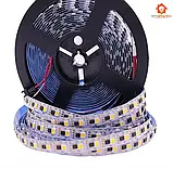Світлодіодна стрічка SMART GS8208/2303 12V, 5050, 60 led/m, 14.4W, IP65. Гарантія – 12 місяців, фото 3
