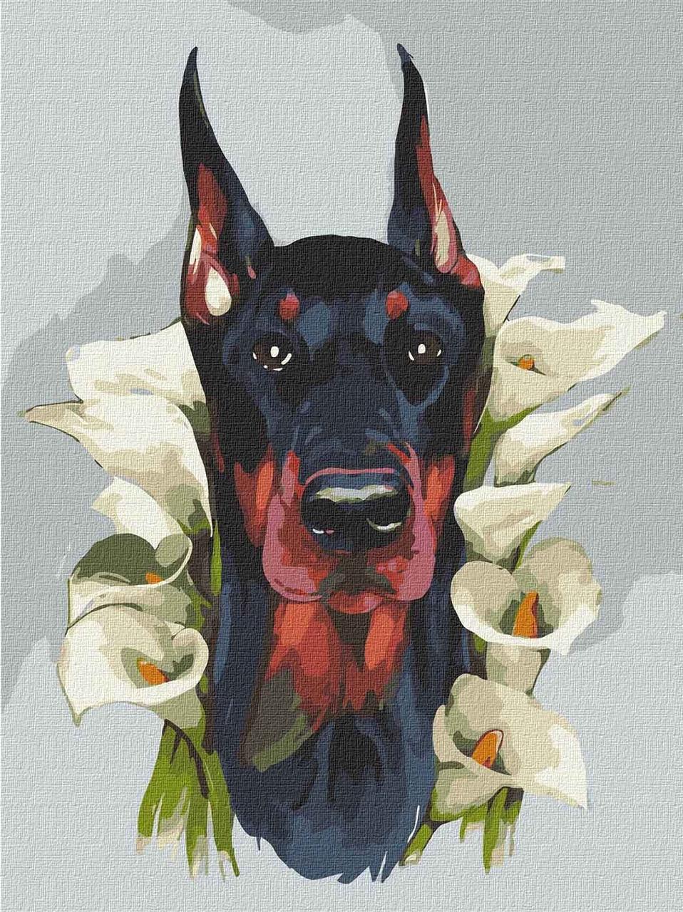 Картина по номерам. Тварини "Величний доберман" KHO 4230 30*40 см, фото 1