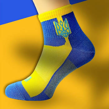Шкарпетки чоловічі бавовна із сіткою Super Socks, арт 004, рис. 090, розмір 42-44, жовто-блакитні, 004