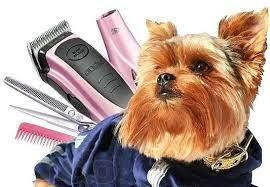 Аксесуари для грумінгу