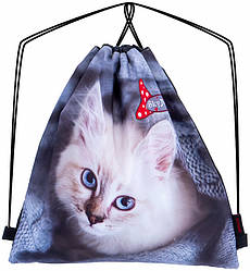 Сумка для взуття мішок рюкзак на шнурках Котик сірий шкільний для дівчинки Winner One SkyName M-107