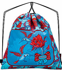 Сумка для взуття мішок рюкзак на шнурках шкільний для дівчинки блакитний Колібрі Winner One SkyName M-126