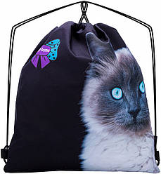 Сумка для взуття мішок рюкзак на шнурках Кошеня сірий шкільний для дівчинки Winner One SkyName M-132