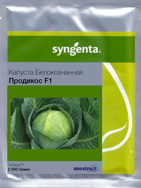 Насіння капусти білокачанної Продікос F1 2500 шт, Syngenta