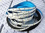 Світлодіодна стрічка s-type 12V, 2835, 60 led/m, 4.8W, IP20, 6000K – білий холодний. Гарантія – 12 місяців, фото 4