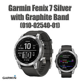 Смарт-годинник Garmin Fenix 7 Silver with Graphite Band (010-02540-01)