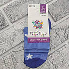 Шкарпетки дитячі високі бавовна весна/осінь асорті р.14-16 Добра Пара для хлопчика 30032270, фото 6