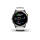 Смарт-годинник Garmin Epix Gen 2 Sapphire Titanium White 010-02582-21, фото 3