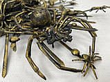 Обруч з павуками Gala Spider Queen, фото 6