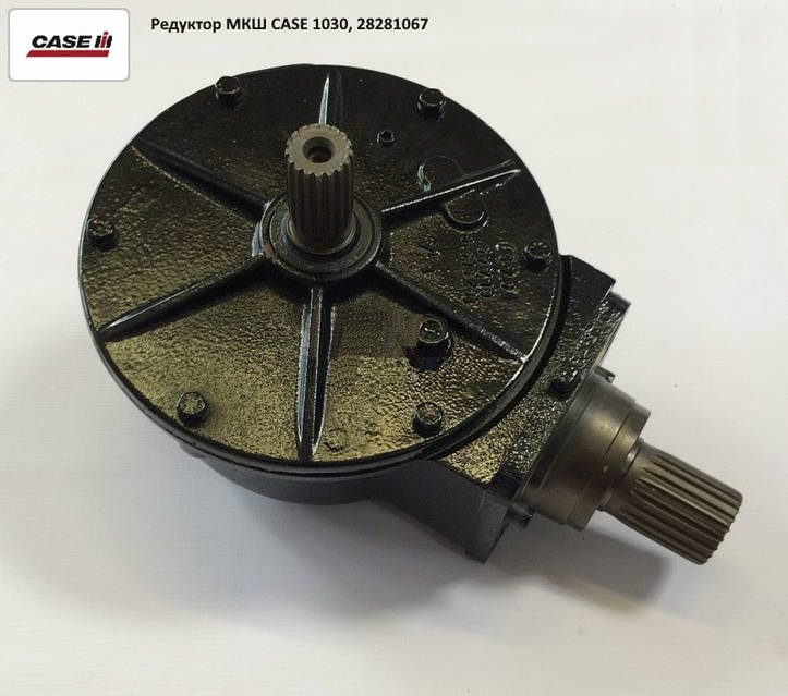 cookyTATA_Fuku10 l_20241-s4ai87z8-cvl-85-60-88-