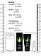 Універсальний лубрикант Shots-CBD Cannabis Waterbased Lubricant, 50 ml, фото 4
