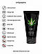 Універсальний лубрикант Shots-CBD Cannabis Waterbased Lubricant, 50 ml, фото 7