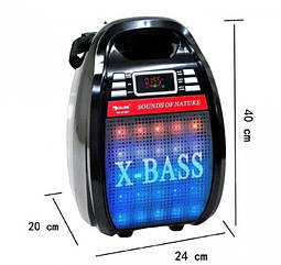Акустичне радіо Golon RX 810 BT з мікрофоном та пультом