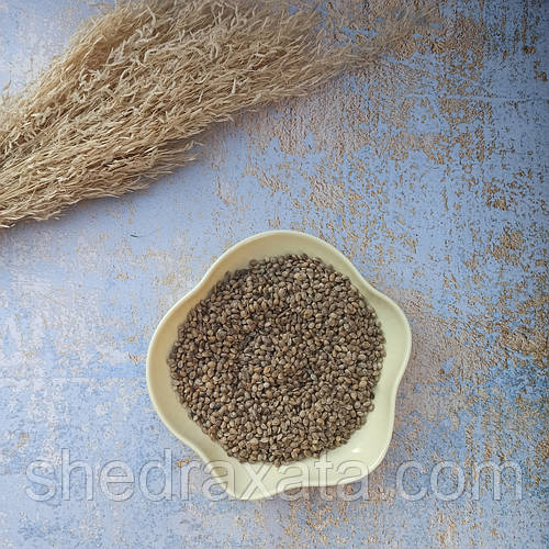 Семена конопли сорт Гляна для пищевого использования 1кг (ID#1093141175 ...