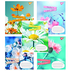 Зошити 24 аркуша лінія 1B  "Summer flowers" 765924